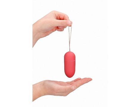 10 Speed Remote Vibrating Egg - Big - Pink - 9
