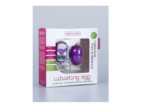 10 Speed Remote Vibrating Egg - Small - Purple - 2