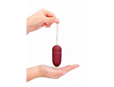 10 Speed Remote Vibrating Egg - Big - Red - 9